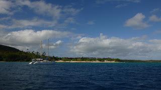TONGA: NADAR CON BALLENAS JOROBADAS EN VAVA’U TONGA: NADAR CON BALLENAS JOROBADAS EN VAVA’U