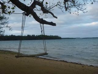 TONGA: NADAR CON BALLENAS JOROBADAS EN VAVA’U TONGA: NADAR CON BALLENAS JOROBADAS EN VAVA’U