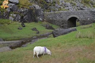 Irlanda en 10 días. Itinerario y presupuesto