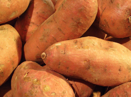 Batata dulce o boniatos: antioxidante y saludable sin engordar