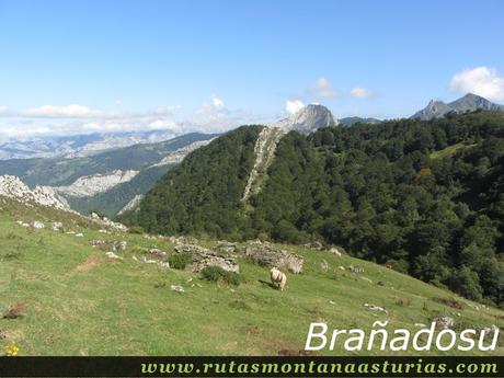 Ruta circular de Taranes al Tiatordos: Brañadosu