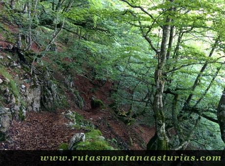 Ruta circular de Taranes al Tiatordos: Fayedo Formistaña