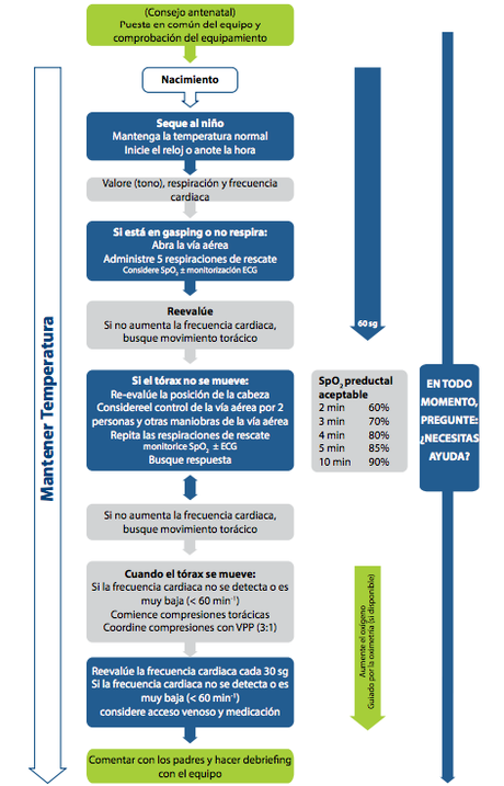 Resumen Ejecutivo de las Recomendaciones del European Resuscitation Council 2015 para Reanimación de adultos y niños