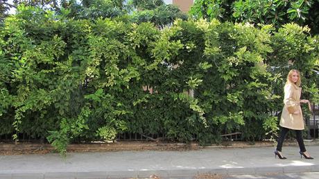 MIÉRCOLES CON ESTILO: Cross Flap Coat by Guillermina Ferrer MIÉRCOLES CON ESTILO: Cross Flap Coat by Guillermina Ferrer