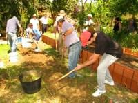 Asociación Montequinto Ecológico: Creando BANCAL PERMACULTURA CARMONA 020515
