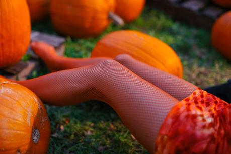 Temporada de Calabazas Pumpkins-orange-halloween-aminta-online-15