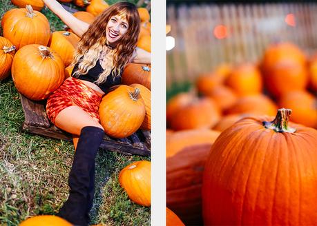 Temporada de Calabazas Pumpkins-orange-halloween-aminta-online-6-