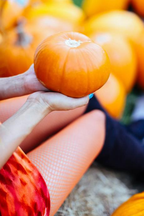 Temporada de Calabazas Pumpkins-orange-halloween-aminta-online-2