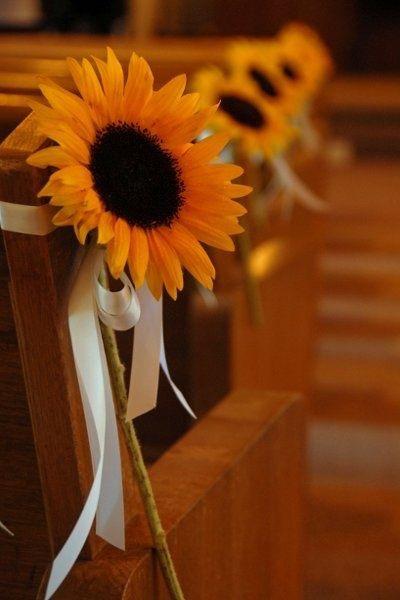 Girasoles colocados en los bancos de la iglesia - Foto: www.scribd.com Girasoles colocados en los bancos de la iglesia - Foto: www.scribd.com