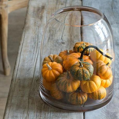 decorar con calabazas en otoño decorar con calabazas en otoño