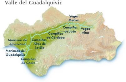 LA DEPRESIÓN DEL GUADALQUIVIR