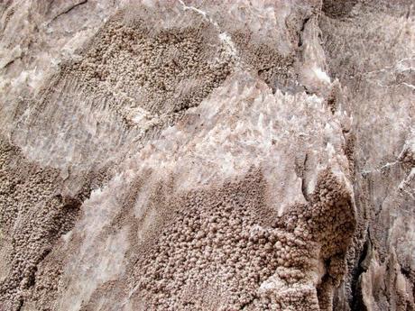 Escuchando la sal. Valle de la luna. Atacama. Chile Escuchando la sal. Valle de la luna. Atacama. Chile