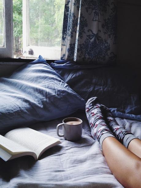 Descubriendo la Casa de los Ratones Descubriendo la Casa de los Ratones