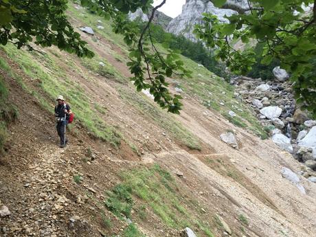 Senda de Camille. Etapa 6. Del refugio de Lizara al puerto de Somport Senda de Camille. Etapa 6. Del refugio de Lizara al puerto de Somport