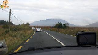 Alquilar coche y conducir por Irlanda