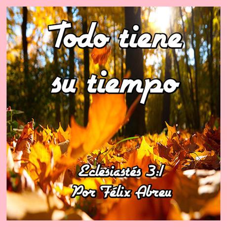 Volverse invisible Volverse invisible