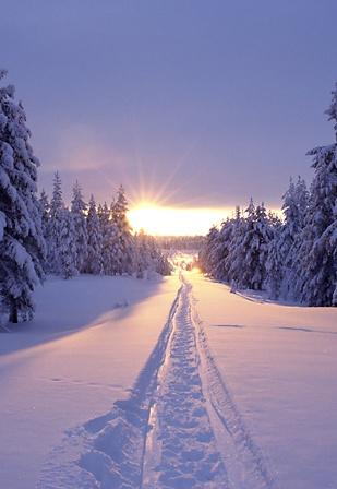Tracks in the snow at sunset in Solberget, Lapland, northern Sweden • photo: J. Oetinger on Flickr: 