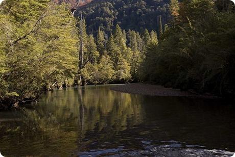 -Parque-Nacional-Los-Alerces-Alerzal_thumb[2]