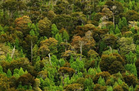 Parque Nacional 