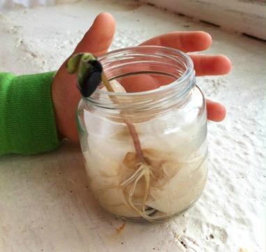 6 Recursos que representan verdaderos retos para los niños germinadero7Portada