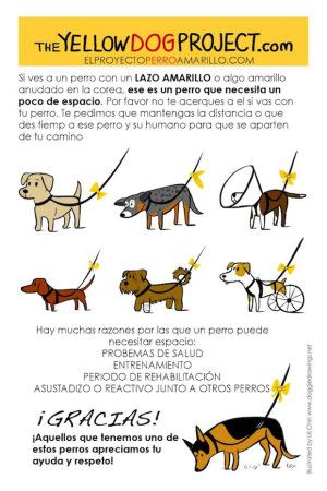 ¿Qué significa que un perro lleve un lazo amarillo? The Yellow Dog Project 420536_288083217959963_1028159923_n