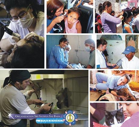 formulario-de-profesionales-y-personas-especializadas1 formulario-de-profesionales-y-personas-especializadas1