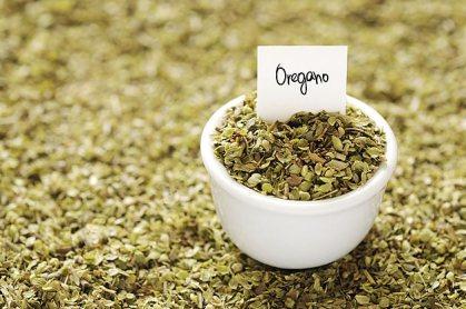 Remedio natural para la irritación de garganta oregano-silvan-nature
