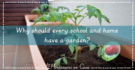 ¿Por qué todos los coles y hogares deberían tener un huerto? – Why should every school and home have a garden?