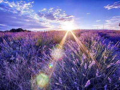 Ser o no Exitoso Ser o no Exitoso