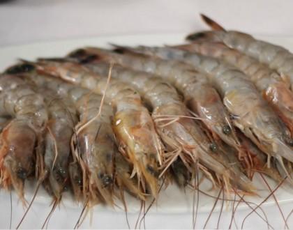 Recetas sabrosas y sanas para Halloween Experimentando con Langostinos