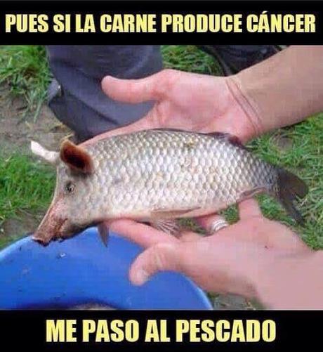 La OMS y la CARNE