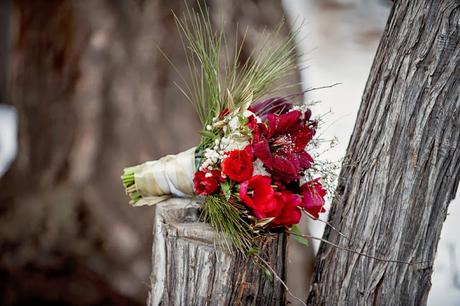PostBoda entre Nieve, Pétalos y Manzanas. PostBoda entre Nieve, Pétalos y Manzanas.