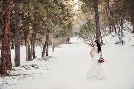 PostBoda entre Nieve, Pétalos y Manzanas. PostBoda entre Nieve, Pétalos y Manzanas.