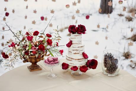 PostBoda entre Nieve, Pétalos y Manzanas. PostBoda entre Nieve, Pétalos y Manzanas.