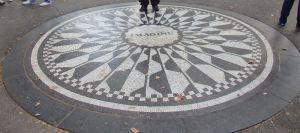 Strawberry Fields