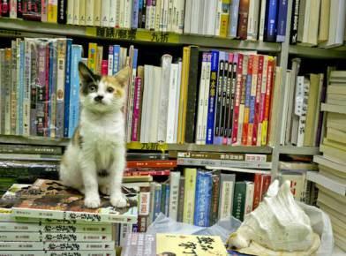 Librería Sam Kee (Hong Kong)