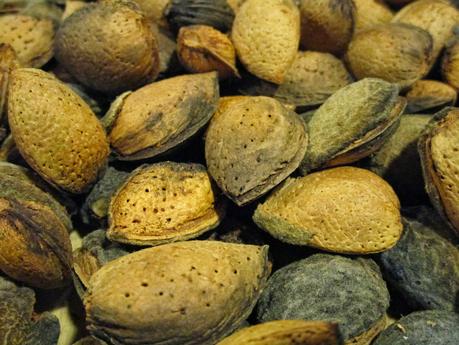 Pan genovés o Pain de Gênes - Sin gluten Pan genovés o Pain de Gênes - Sin gluten