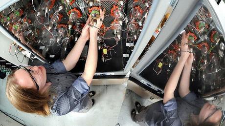 Científicos presentan una revolucionaria superbatería para alimentar automóviles Científicos presentan una revolucionaria superbatería para alimentar automóviles