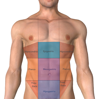 Introducción a la Anatomía Aplicada: organización general del cuerpo humano Introducción a la Anatomía Aplicada: organización general del cuerpo humano