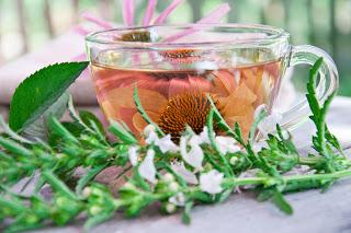 10 tés e infusiones que no pueden faltarte en casa este otoño ni invierno