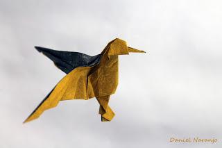 Colibrí de pico corto Colibrí de pico corto