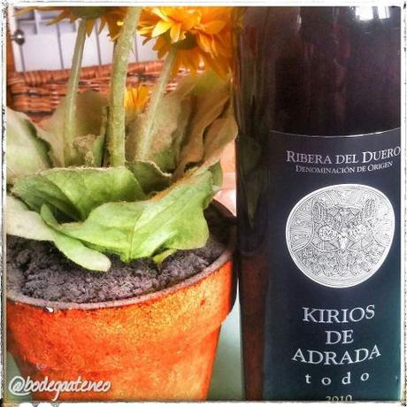 Kirios de Adrada Todo 2010 kirios todo