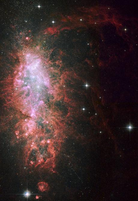 La frenética actividad de NGC 1569