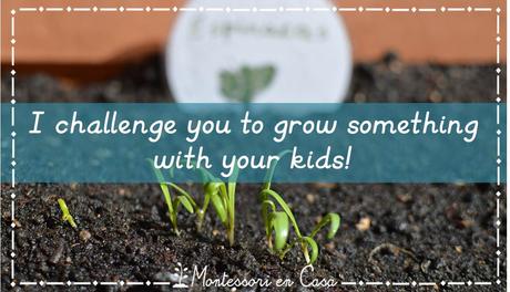 ¡Te reto a cultivar algo con tus niños! – I challenge you to grow something with your kids! ¡Te reto a cultivar algo con tus niños! – I challenge you to grow something with your kids!