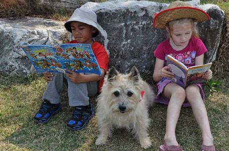El contacto temprano con los perros se vincula a un menor riesgo de asma Mascotas y asma infantil