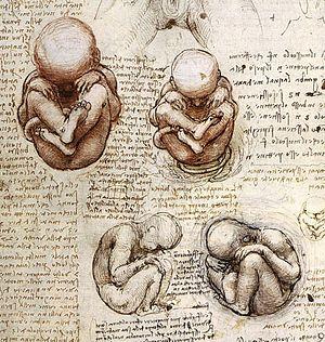 Dentro de una madre siempre queda algo de sus hijos, su adn completo. Dentro de una madre siempre queda algo de sus hijos, su adn completo.