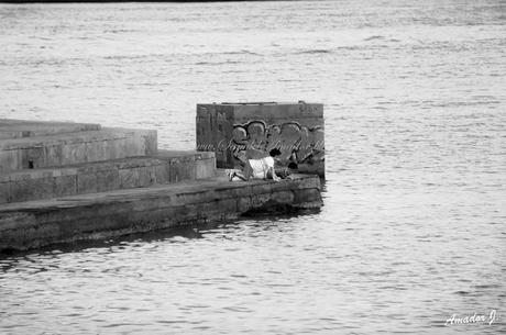 ALMERÍA: FOTOGRAFÍAS EN BLANCO/NEGRO