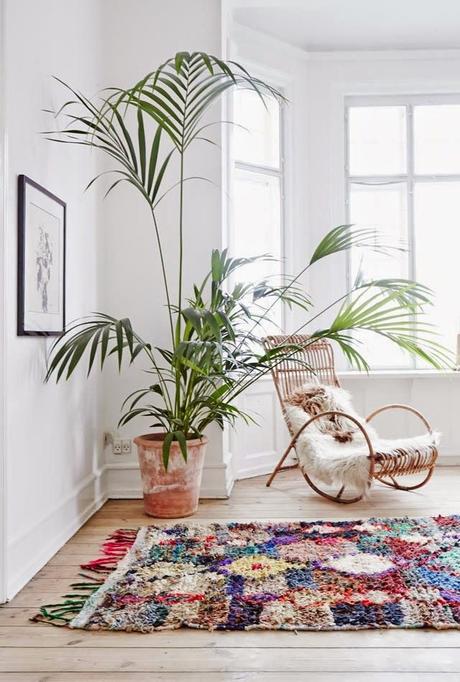10 Mejores plantas de interior 10 Mejores plantas de interior