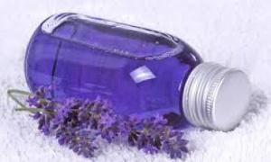 10 remedios caseros para los piojos y liendres, ¡Eliminalos! 10 remedios caseros para los piojos y liendres, ¡Eliminalos!