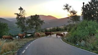 CAMINO DE SANTIAGO FRANCÉS. 1ª Parte.